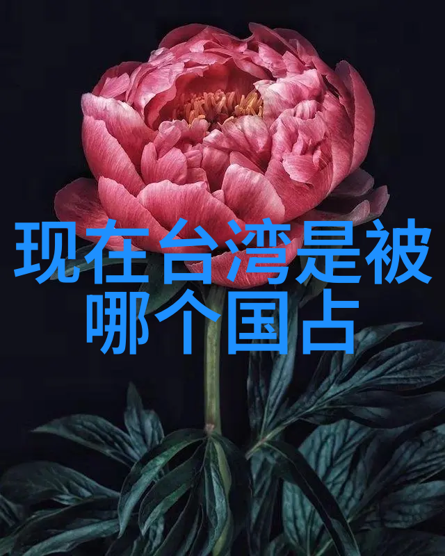 星光璀璨一路向前的无界娱乐盛宴