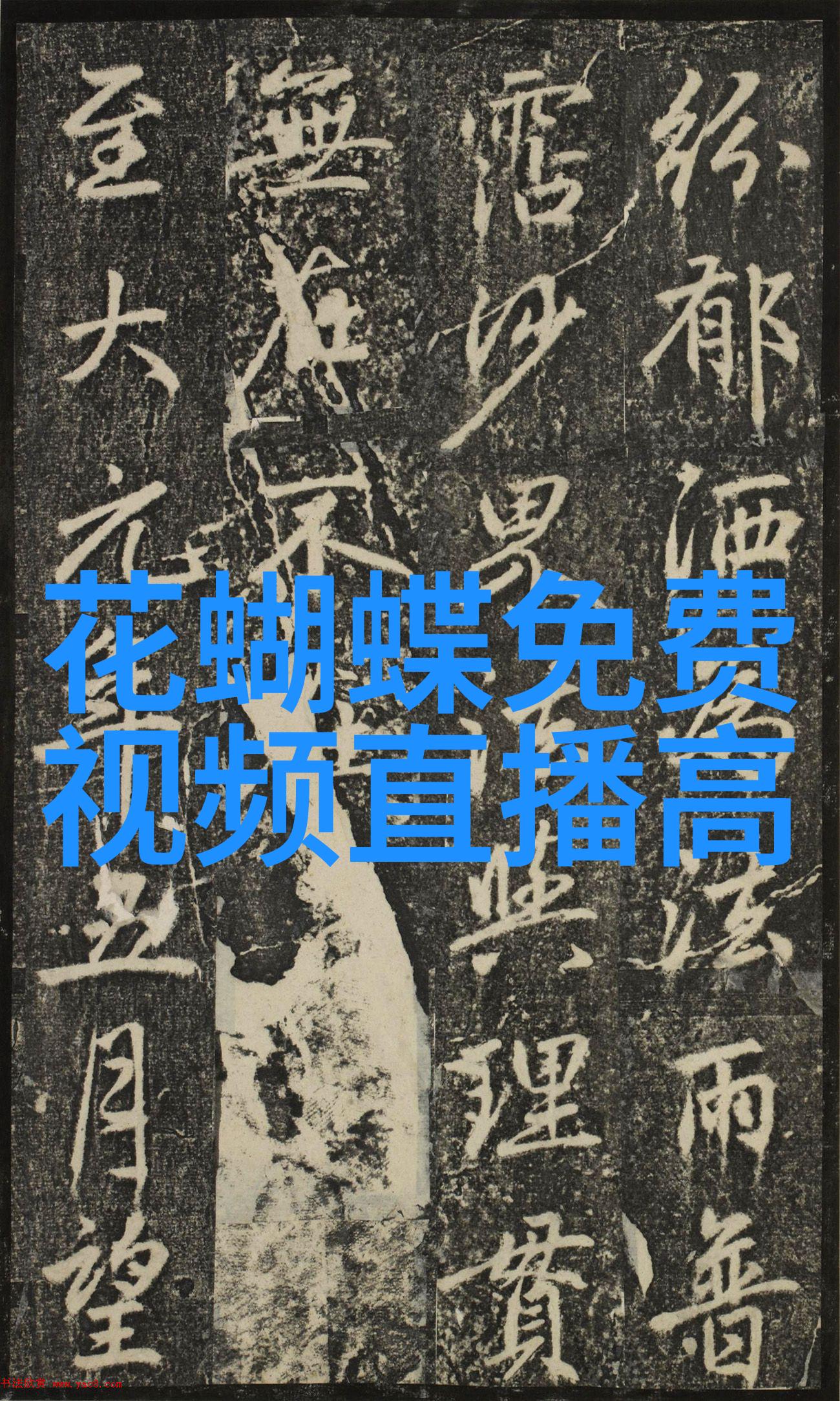 失望之影寒冷的画面背后藏着怎样的故事