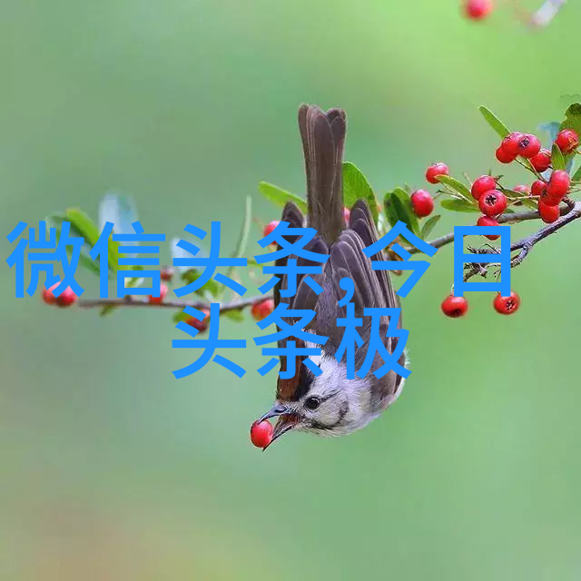 春日游韩雪与刘涛的欢声笑语