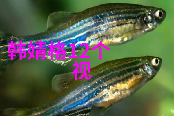 男友背后的真相揭开爱情的面纱