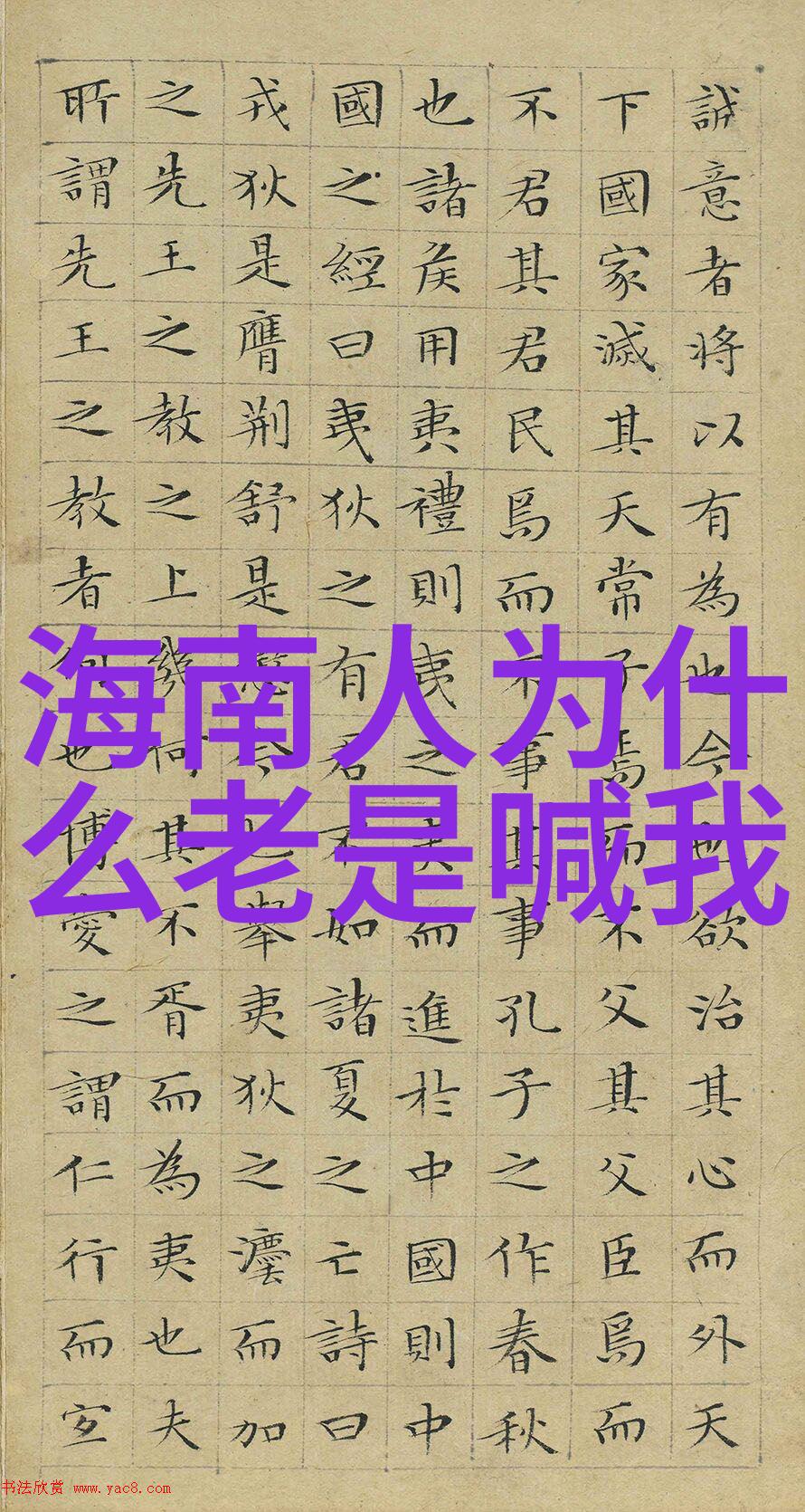 芭比之时尚奇迹我和芭比的时尚冒险从童话世界到现实街头