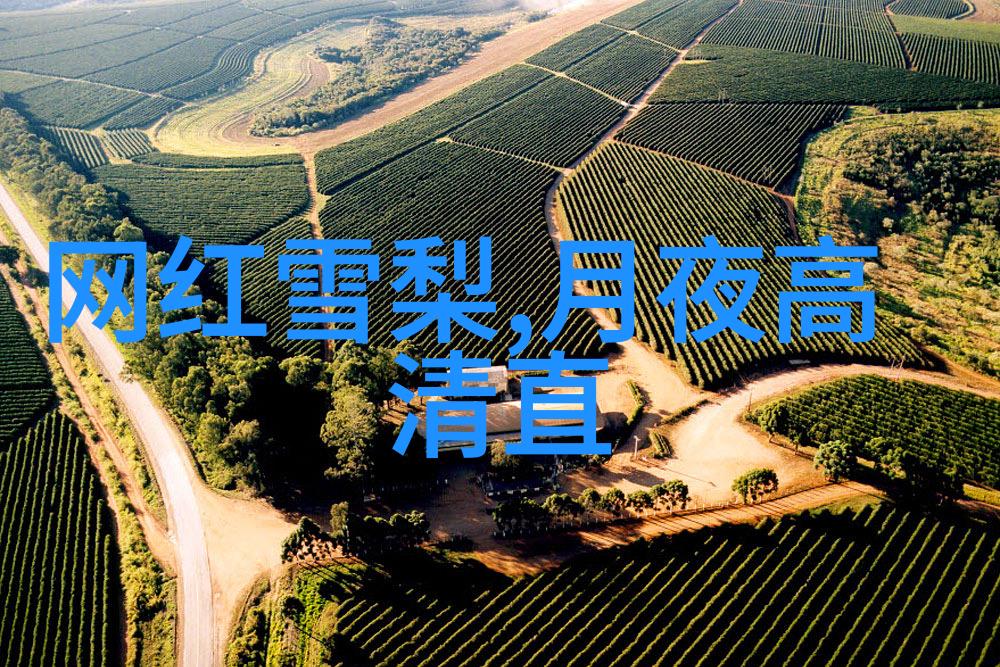 星辰影视 - 星辰大海探索中国电影业的璀璨未来