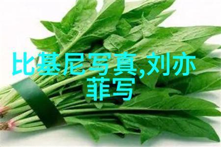 2023年电影之最揭秘年度热门影片与颁奖盛事