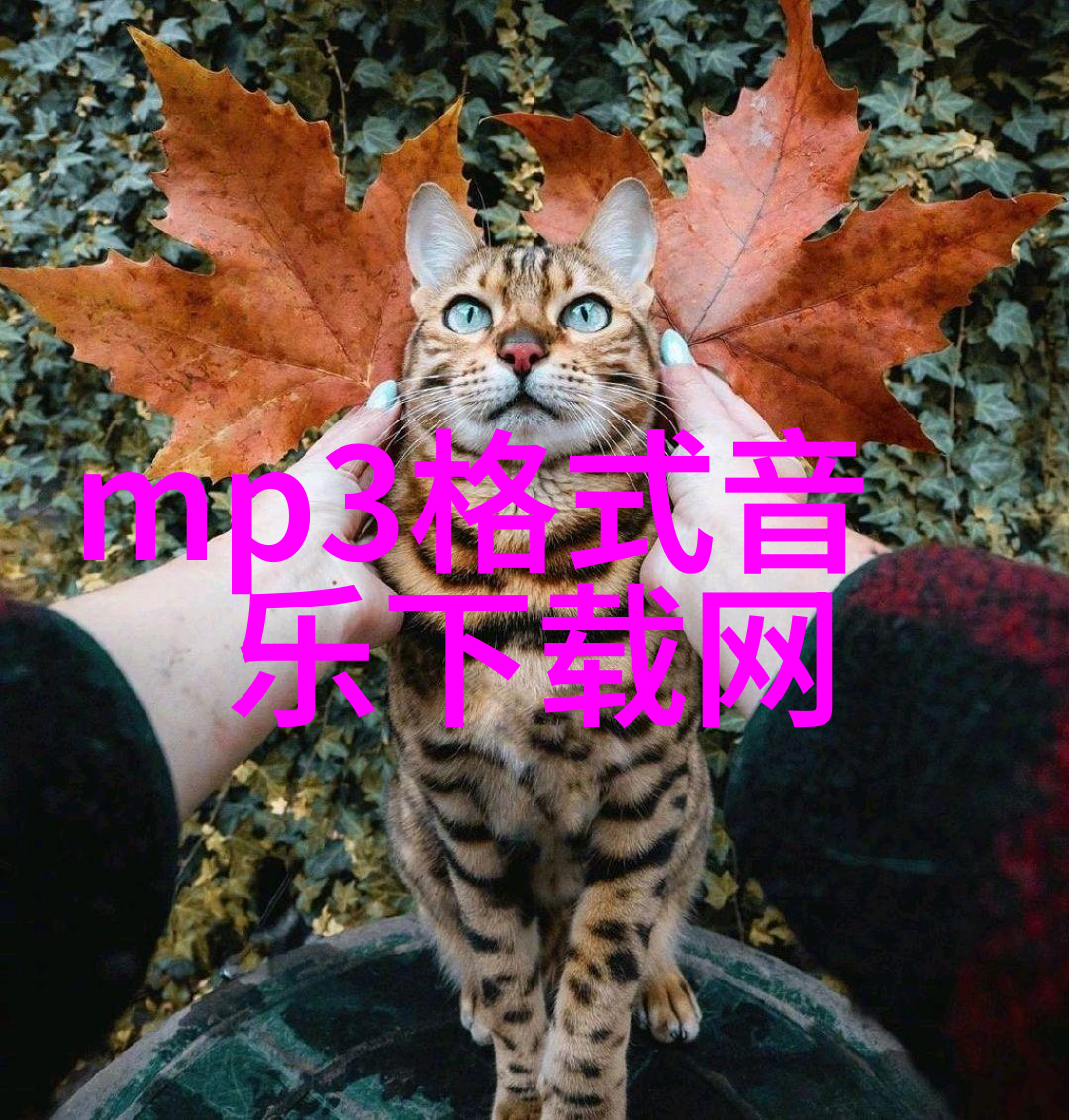 为什么说不可预料的恋人这种不按常规发展的情感故事很受欢迎