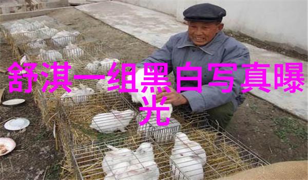 音乐盛宴抖音上最具人气的十首金曲