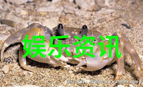 远方的桃花源真实的产地是哪里