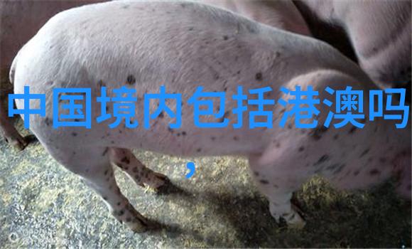 爸爸当家2免费观看完整版综艺节目-超越家庭边界爸爸当家2的无限可能