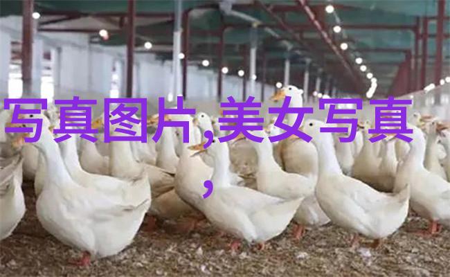 变形金刚超能勇士崛起妈妈的朋友在自然中动了DNA