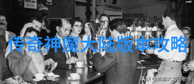 家务优等生综艺我的家庭清洁大赛