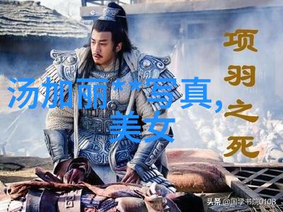 四一七文化节启动仪式盛大举行庆祝传统艺术的复兴