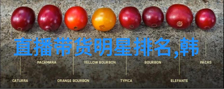 电影制作的背后世界探索影视工场的魔力与挑战