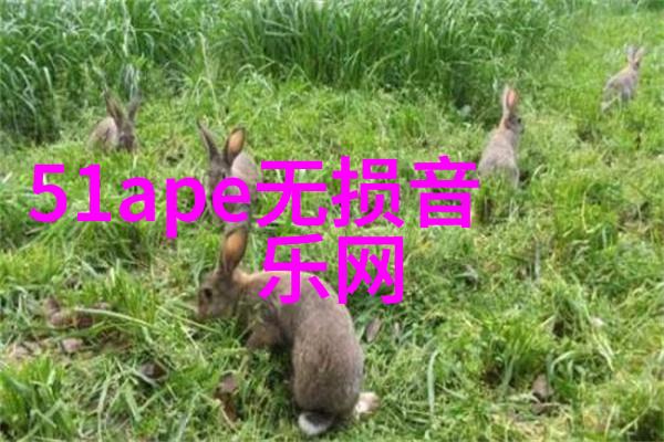 电视剧庆余年揭秘江湖恩怨与人心深处的复杂情感