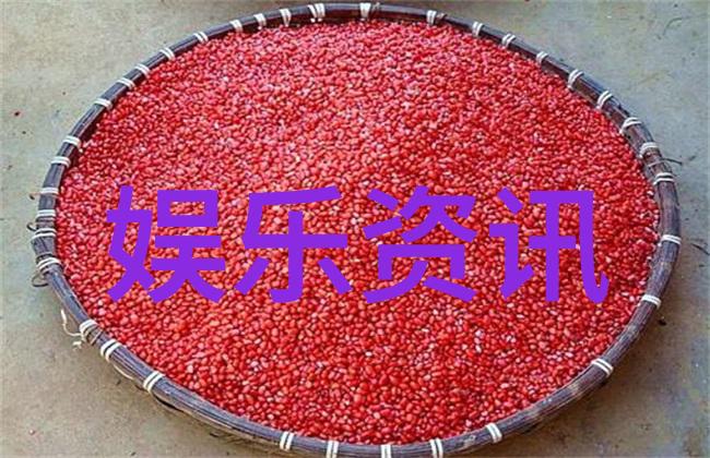 音乐时间机器通过经典老歌100首目录穿越过去见证现在