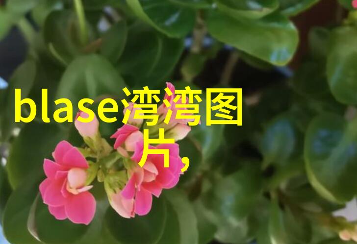 台湾佬中文娱乐台湾艺人音乐会