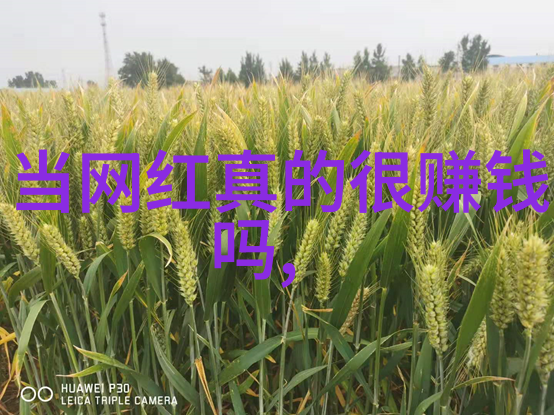 盘点十大天后级女星的辛酸情事