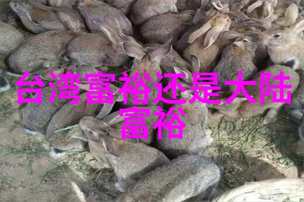 幕后诱惑王宝强接受陈思诚的不言之暗示