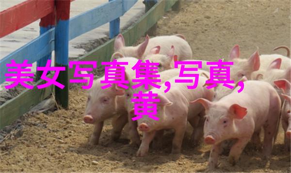 后天八卦对应方位我来告诉你个秘密你的座位竟然预示着未来