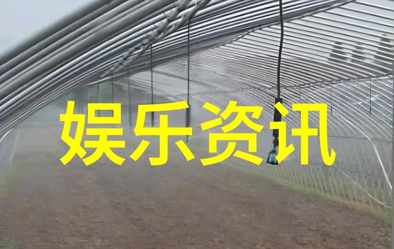 台湾现状-海峡两岸关系与台湾社会动态的深度探究