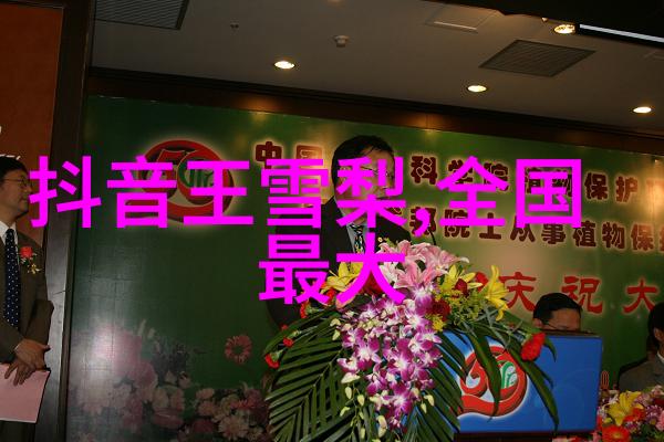 智能图像识别技术找回原图的神奇之力