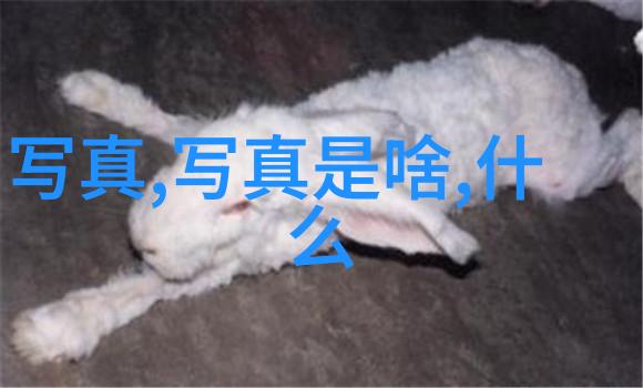 冯绍峰做亲子鉴定是真的吗-探秘影星隐私解析冯绍峰亲子鉴定真相