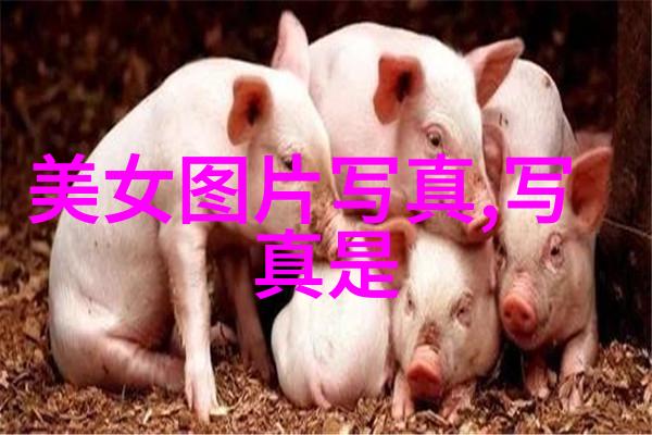 背景里的主角在一张照片里真正吸引人注目的往往是谁
