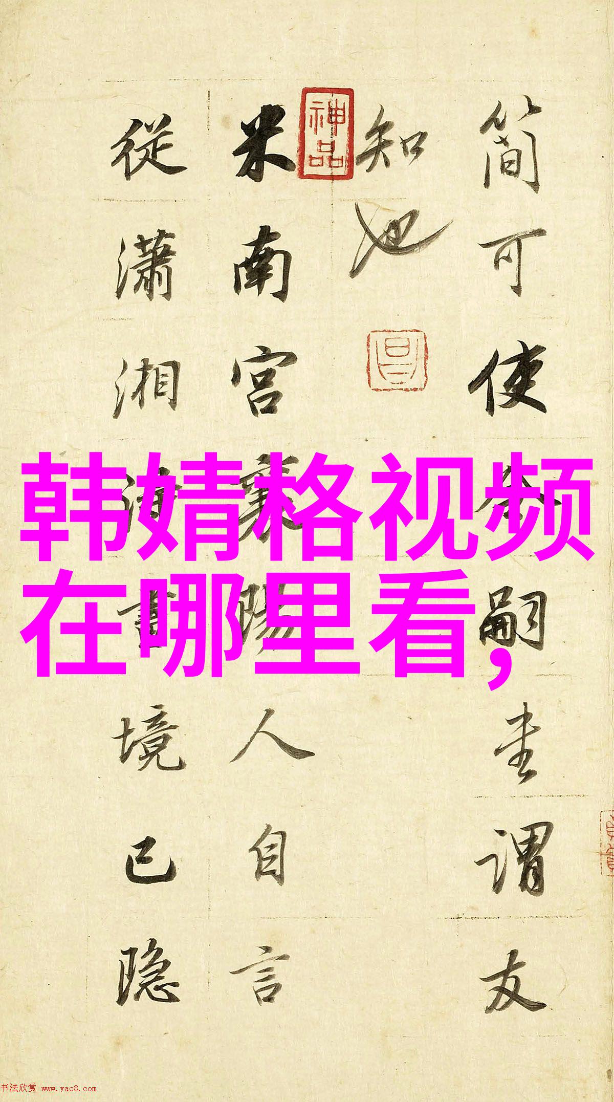 森林之冠树木间的幽深秘密