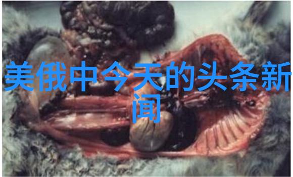 从废柴到高富帅的免费网站奇迹