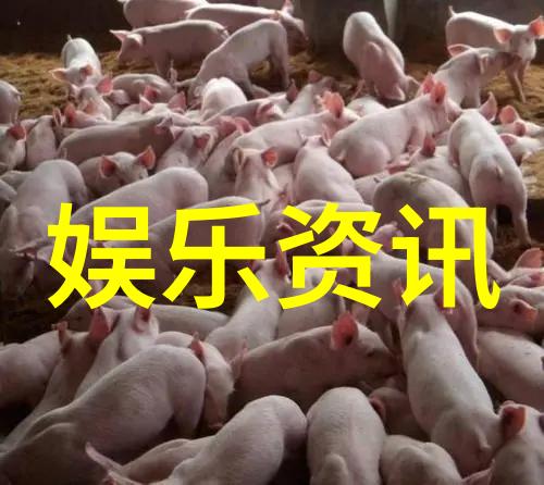续航能力如何长时间外出的朋友们16GiPad够用吗