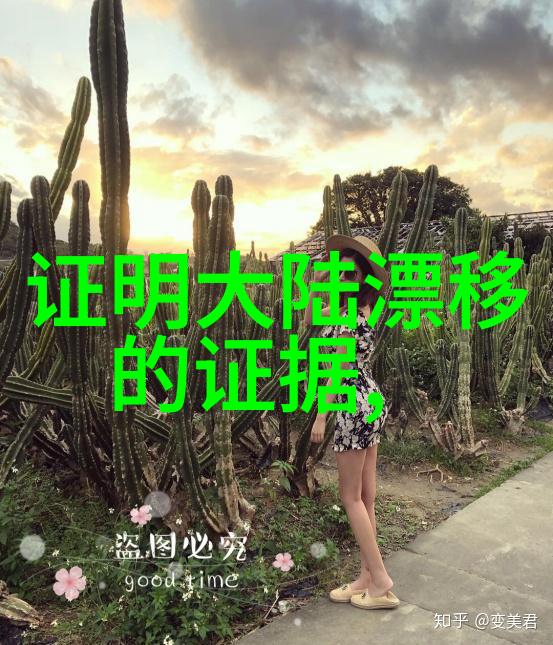 跨海好友台湾大陆今日消息谁的经济先飞