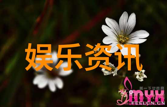 网红模特的典型特征从外表到风格的完美诠释