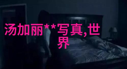 3166我的数字旅行揭秘世界上每个角落的代码