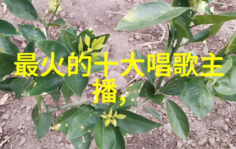 南京教育头条上海十月炎炎气温挑战历史红线