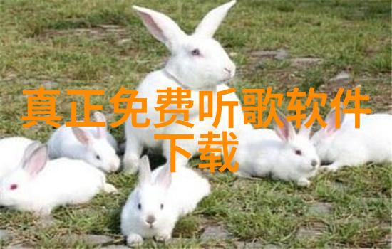 沈东军个人资料照片通灵珠宝老板身影透露台海最新动态背后物品故事