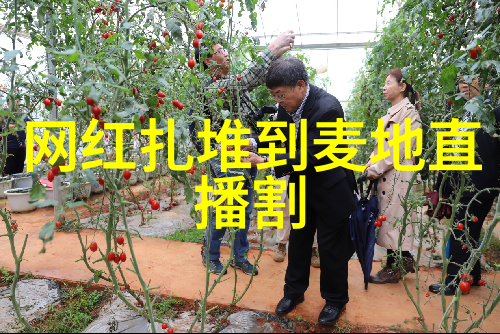 语言不成问题只为那份深情你是我的女人4电影-review