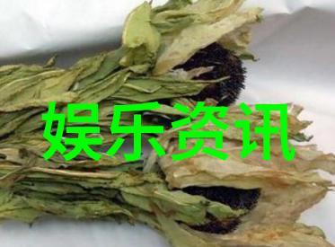 电影艺术-守护影视道德伦理电影的创作与审美
