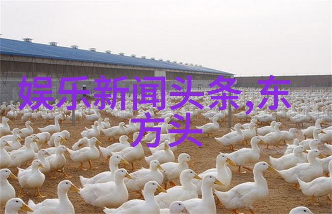 如何成为网红从零到英雄的逆袭之路
