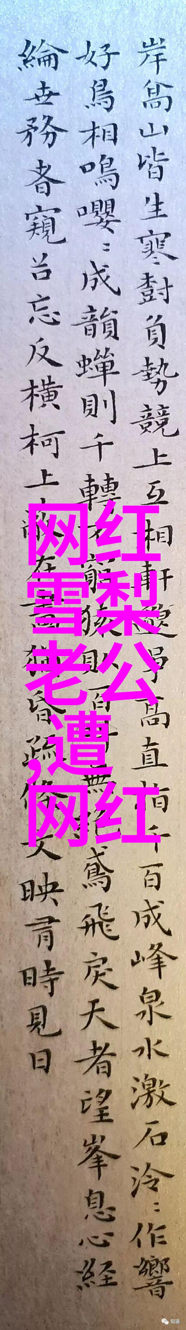 沉浸在共鸣之中剖析那些能够唤起同情的心灵画像