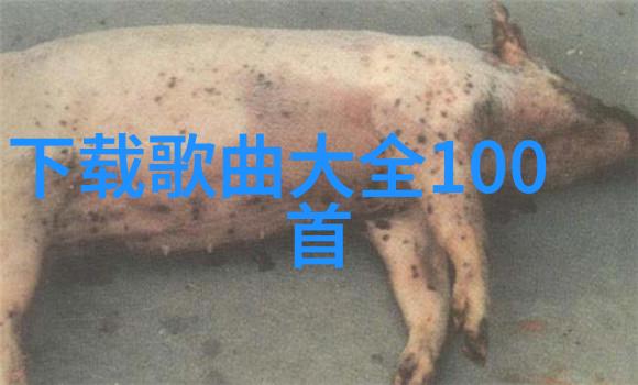 春闺梦里人我与那位在梦中住的女子的故事