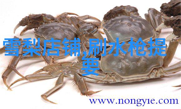 在数字海洋中航行你该如何用智慧选择那些可信赖且真正完全免費 的音樂下載軟體