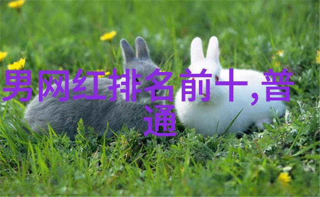全网音乐下载免费解锁无限旋律的秘密通道