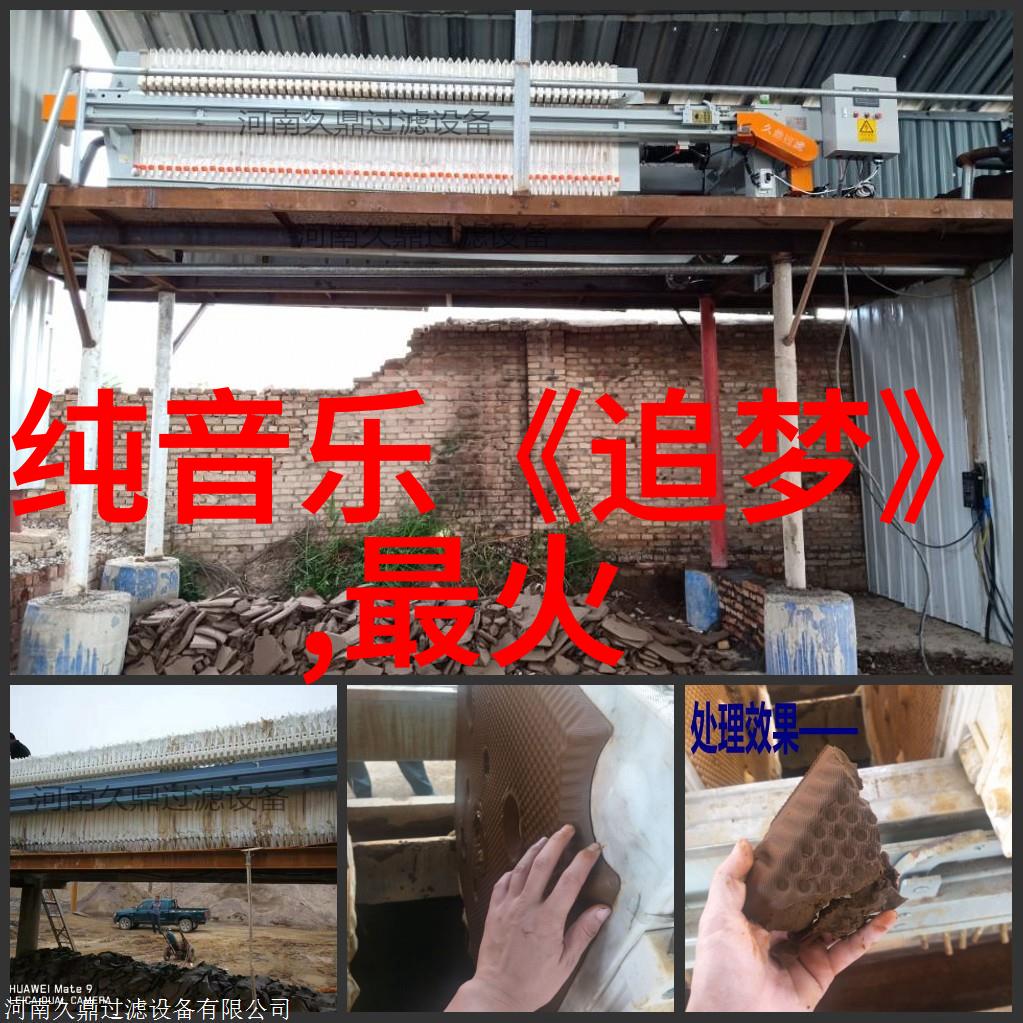 金盏花系列大爆款天天娱乐推荐你必须知道的选择秘籍