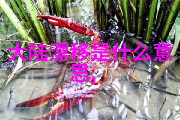 台湾大陆关系从对话到和解的复杂轨迹