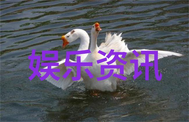 黑衣人衍生片定档2019年5月 威尔史密斯和汤米李琼斯不出演