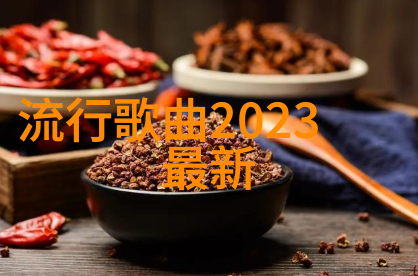 数字迷雾时空的秘密频道