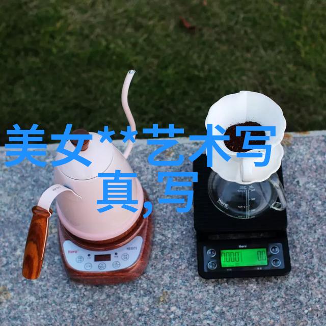 娱乐圈的魅惑者明星光环下的生活与挑战