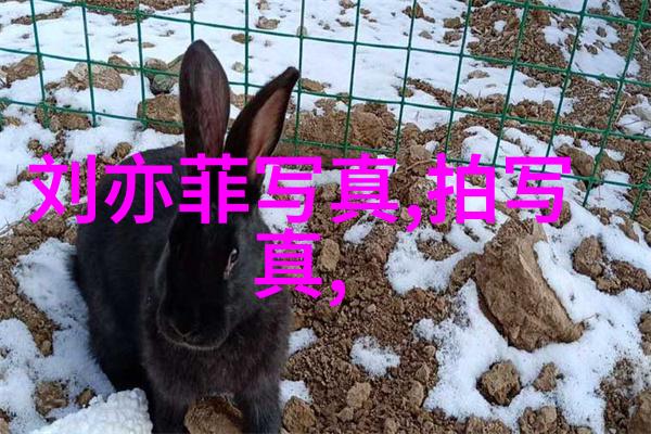 探秘三级片电影背后的文化与社会意义