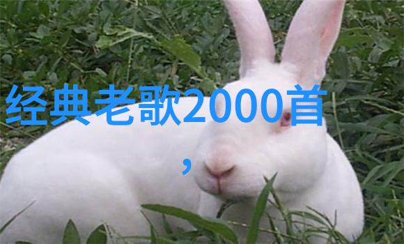 飞翔的足迹高以翔在哪个综艺节目中的离场