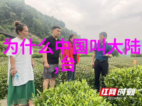 从易到仁心从仁到人生学好易经的人文关怀教育