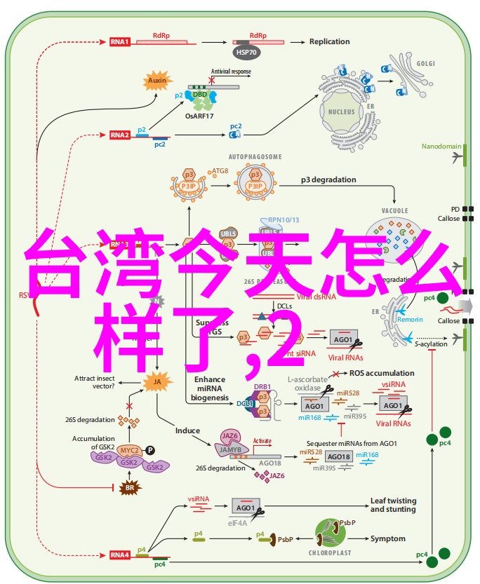 综艺节目中的人物关系真的那么复杂吗