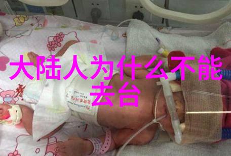 梦想之旅探索理想生活的奇妙篇章